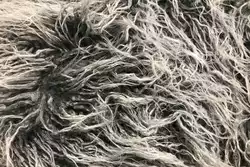 Pulizia dei tappeti a pelo lungo